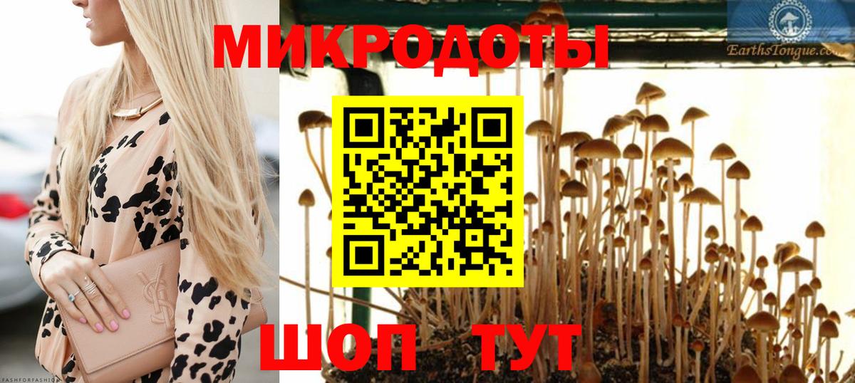Псилоцибиновые грибы мухоморы  Вход с VPN  Боровичи 